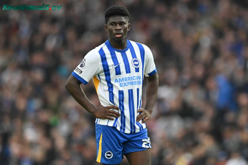 Đội hình dự kiến trước trận Brighton vs Sunderland