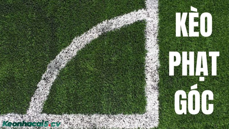 Loại kèo này thu hút nhiều người chơi nhờ sự hấp dẫn và đa dạng của nó Loại kèo này thu hút nhiều người chơi nhờ sự hấp dẫn và đa dạng của nó