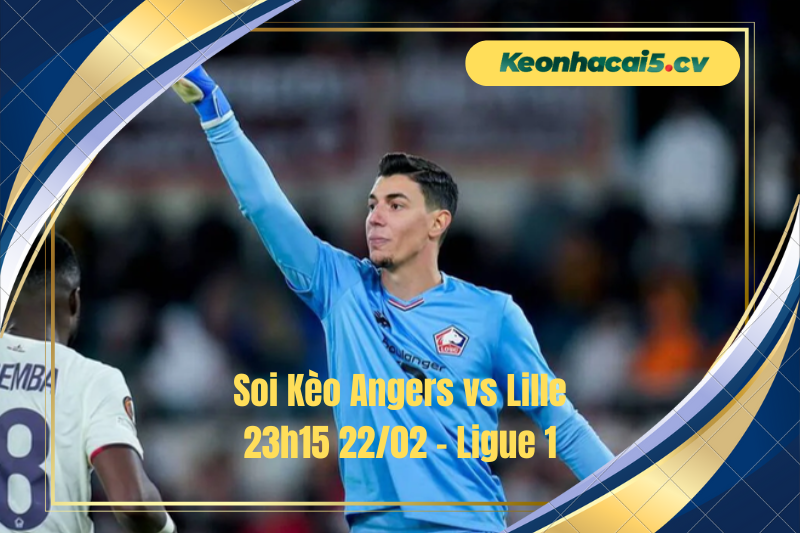 Đội hình dự kiến trước trận Angers vs Lille Đội hình dự kiến trước trận Angers vs Lille