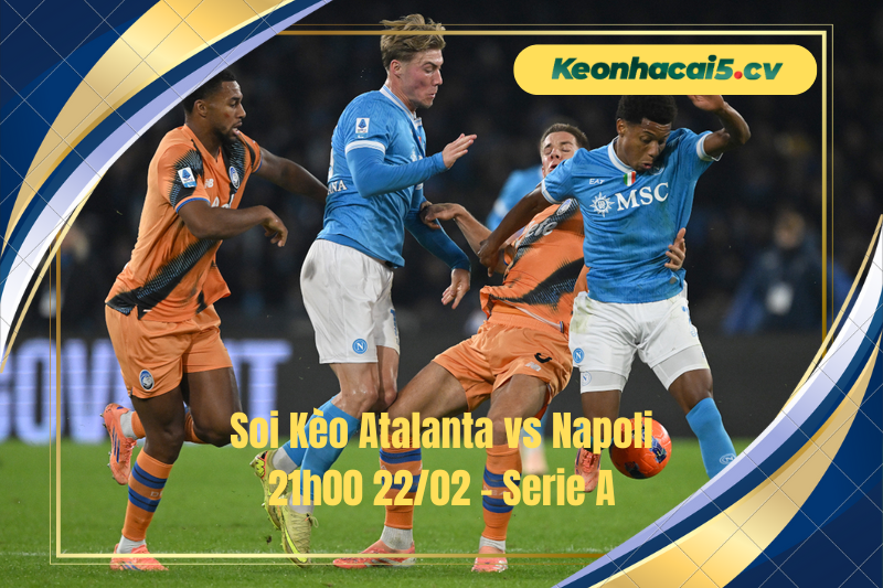 Đội hình dự kiến trước trận Atalanta vs Napoli Đội hình dự kiến trước trận Atalanta vs Napoli