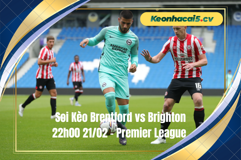 Đội hình dự kiến trước trận Brentford vs Brighton