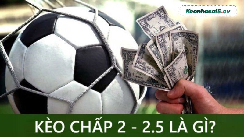 Kèo 2 2.5 là gì? Kèo 2 2.5 là gì?