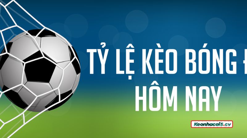 Quan sát biến động tỷ lệ cược