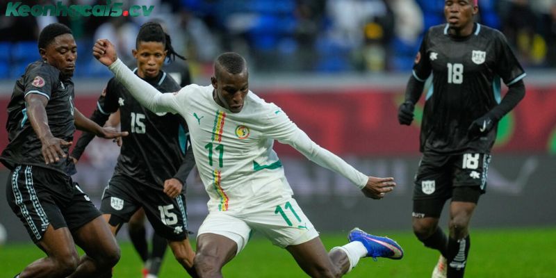 Vào kèo rung hiệu quả và những điều tân binh cần biết