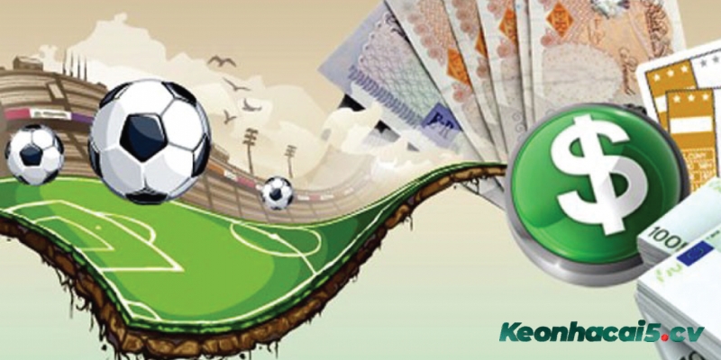 Tích lũy kinh nghiệm bào cỏ hiệu quả Tích lũy kinh nghiệm bào cỏ hiệu quả